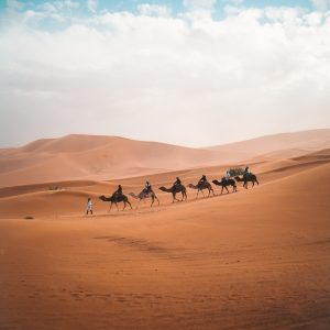 Desert